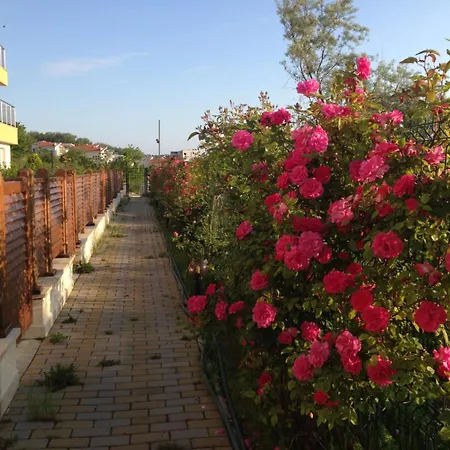 Large Two Floor Apartment Byala (Varna)